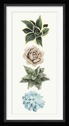 Framed Row of Succulents I Print