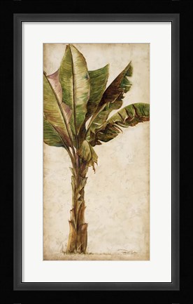Framed Tropic Banana I Print