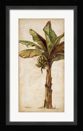 Framed Tropic Banana II Print