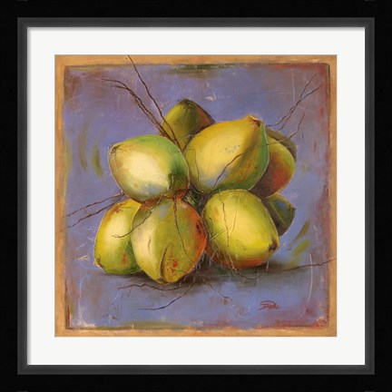 Framed Cocos Locos IV Print