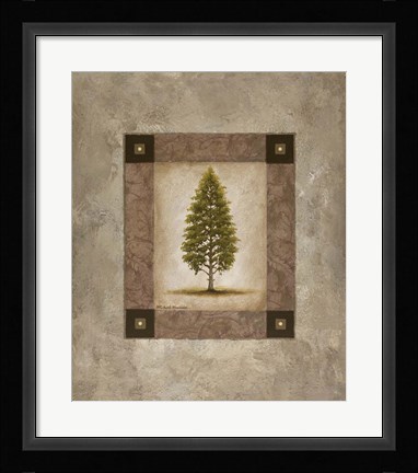 Framed European Pine I Print