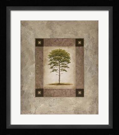 Framed European Pine II Print
