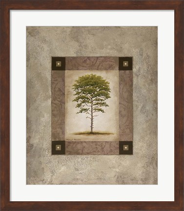 Framed European Pine II Print