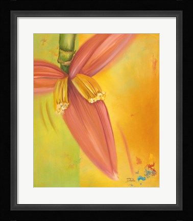 Framed Exotica II Print