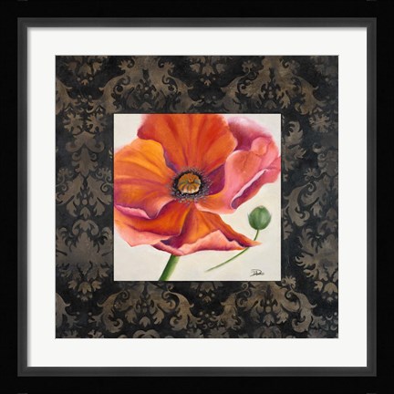 Framed Poppy Flower II Print