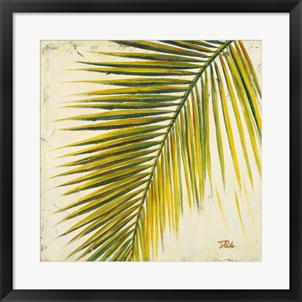 Framed Baru Palm I Print