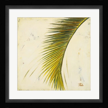 Framed Baru Palm II Print