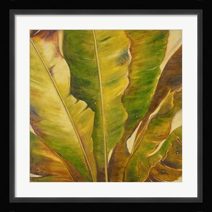 Framed Uraba II Print