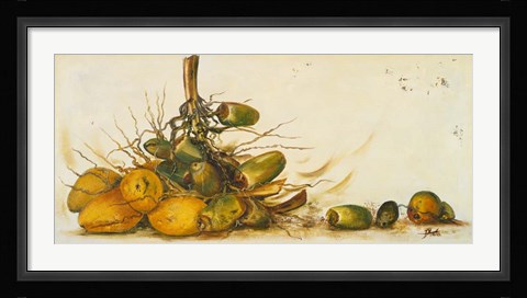Framed Racimo de Cocos III Print
