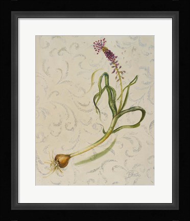 Framed Botanica IV Print