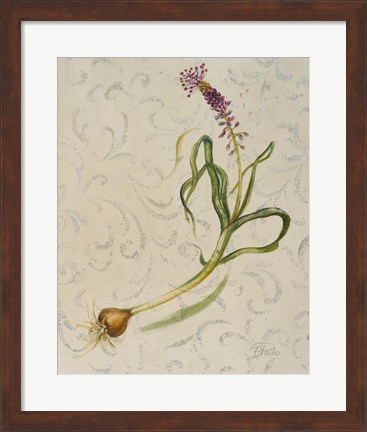 Framed Botanica IV Print