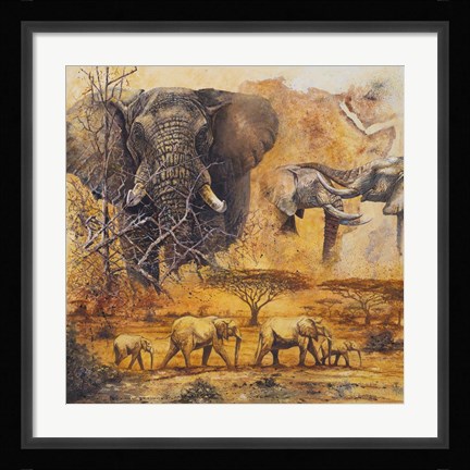 Framed Safari II Print