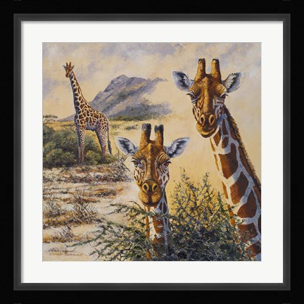 Framed Safari IV Print