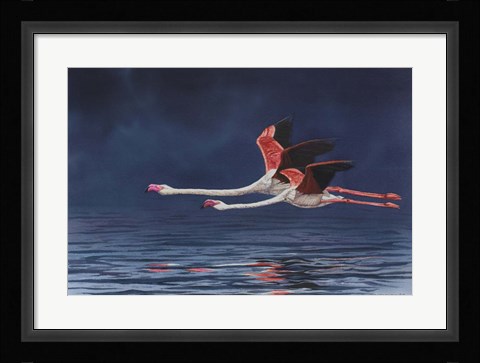Framed Flying Flamingos Print
