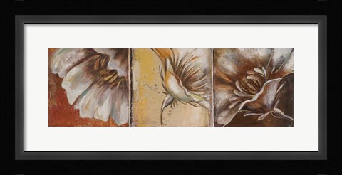 Framed Three Poppies II Print