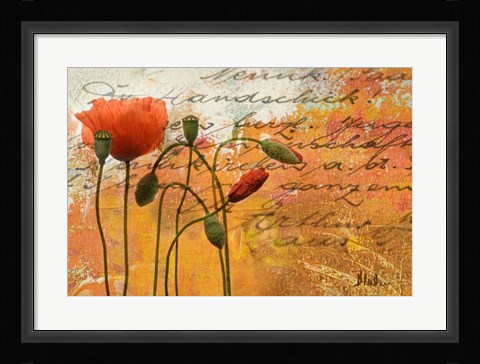 Framed Poppies Composition I Print