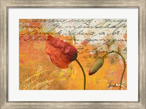 Framed Poppies Composition II Print