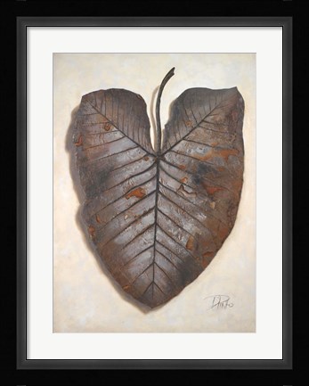 Framed Mafafa I Print