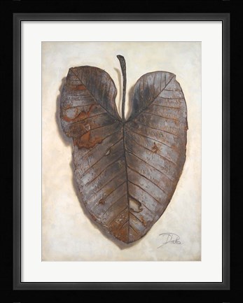 Framed Mafafa II Print