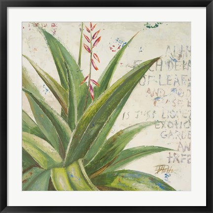 Framed Aloe II Print