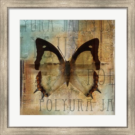 Framed Polyurabutterfly I Print