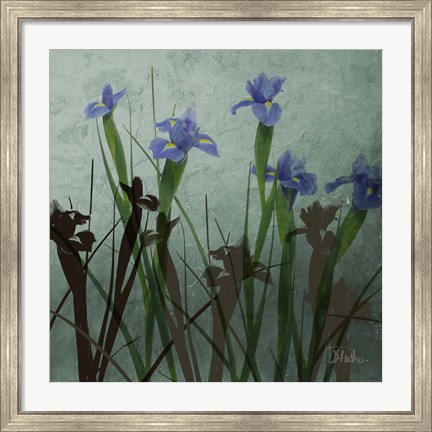 Framed Blue Irises I Print