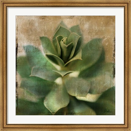 Framed Succulent I Print