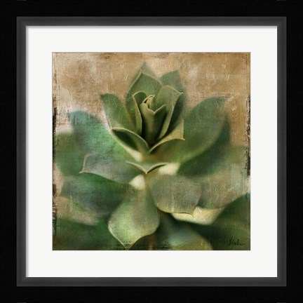 Framed Succulent I Print