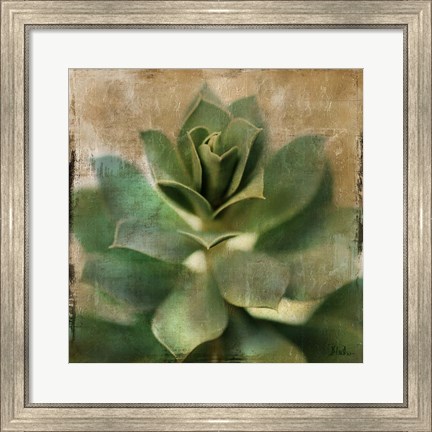 Framed Succulent I Print