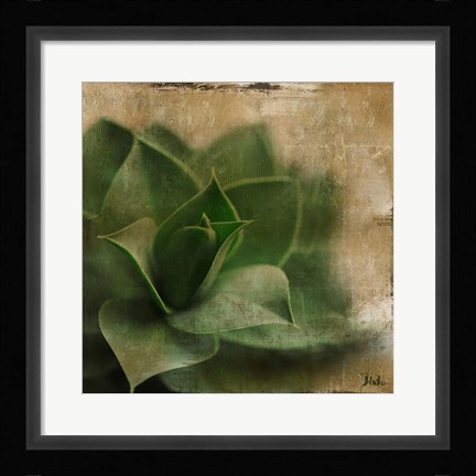 Framed Succulent II Print