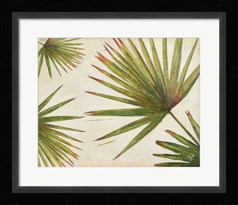 Framed Organic I (Detail) Print