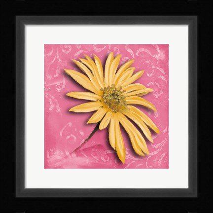Framed Blooming Daisy II Print