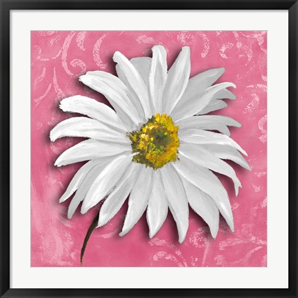 Framed Blooming Daisy III Print