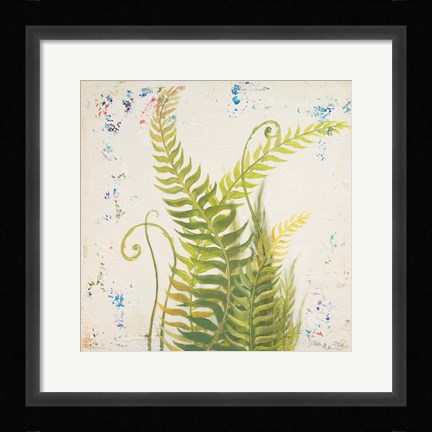 Framed Nice Ferns I Print