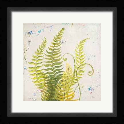Framed Nice Ferns II Print
