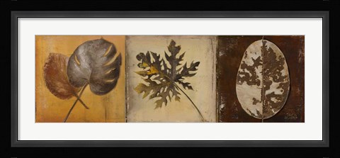 Framed Natural Panel I Print