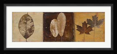 Framed Natural Panel II Print