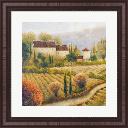 Framed Tuscany Vineyard I Print