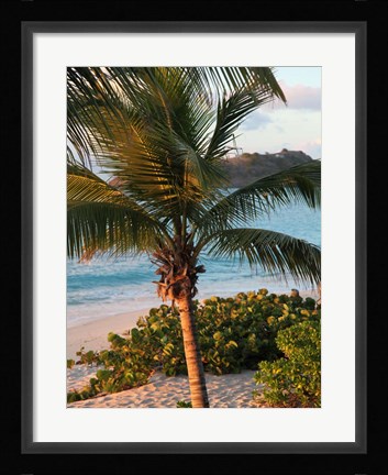 Framed Sunset Palms I Print