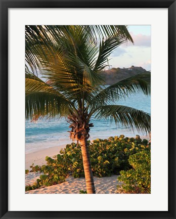 Framed Sunset Palms I Print