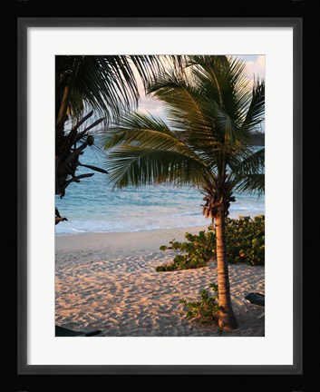 Framed Sunset Palms II Print