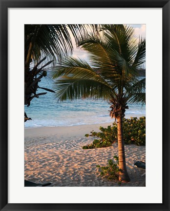 Framed Sunset Palms II Print