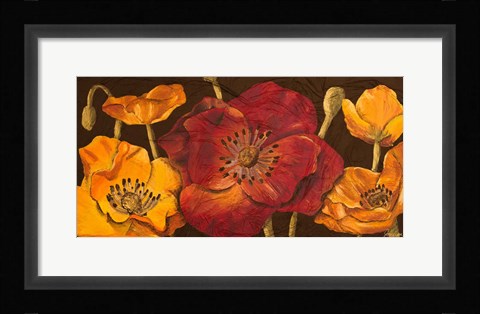 Framed Dazzling Poppies I (black background) Print