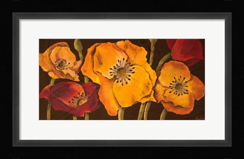Framed Dazzling Poppies II (black background) Print