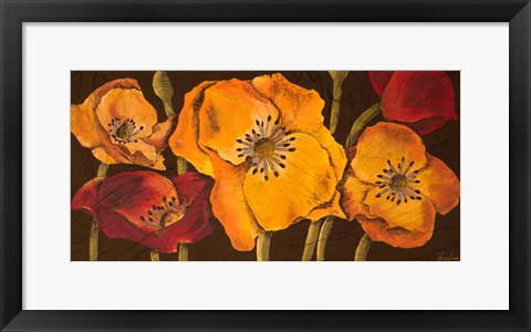Framed Dazzling Poppies II (black background) Print