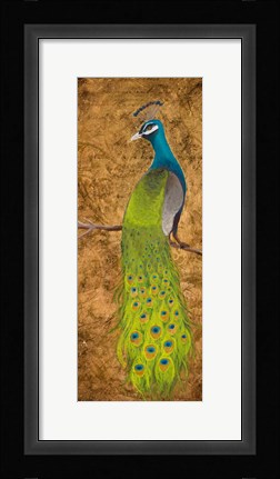 Framed Peacocks I Print