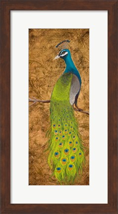 Framed Peacocks I Print