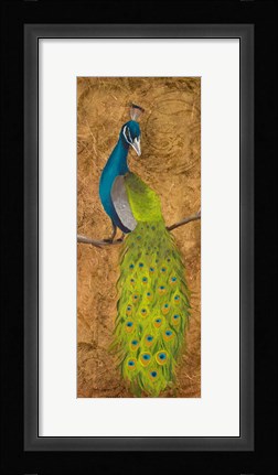 Framed Peacocks II Print