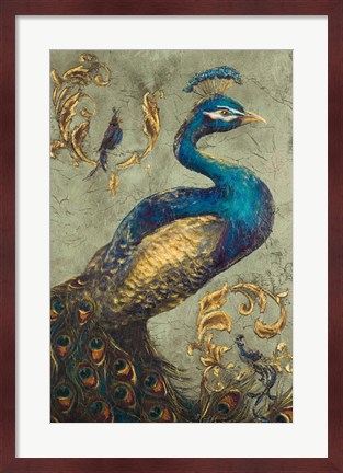 Framed Peacock on Sage I Print