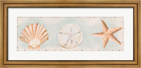 Framed Sandy Shells I Print